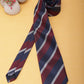 Alvaro Castagnino Men Striped Classic Formal Skinny Tie