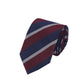 Alvaro Castagnino Men Striped Classic Formal Skinny Tie