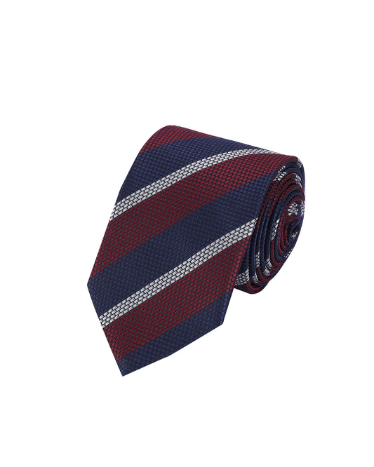 Alvaro Castagnino Men Striped Classic Formal Skinny Tie