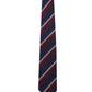 Alvaro Castagnino Men Striped Classic Formal Skinny Tie