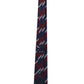 Alvaro Castagnino Men Striped Classic Formal Skinny Tie