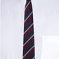 Alvaro Castagnino Men Striped Classic Formal Skinny Tie