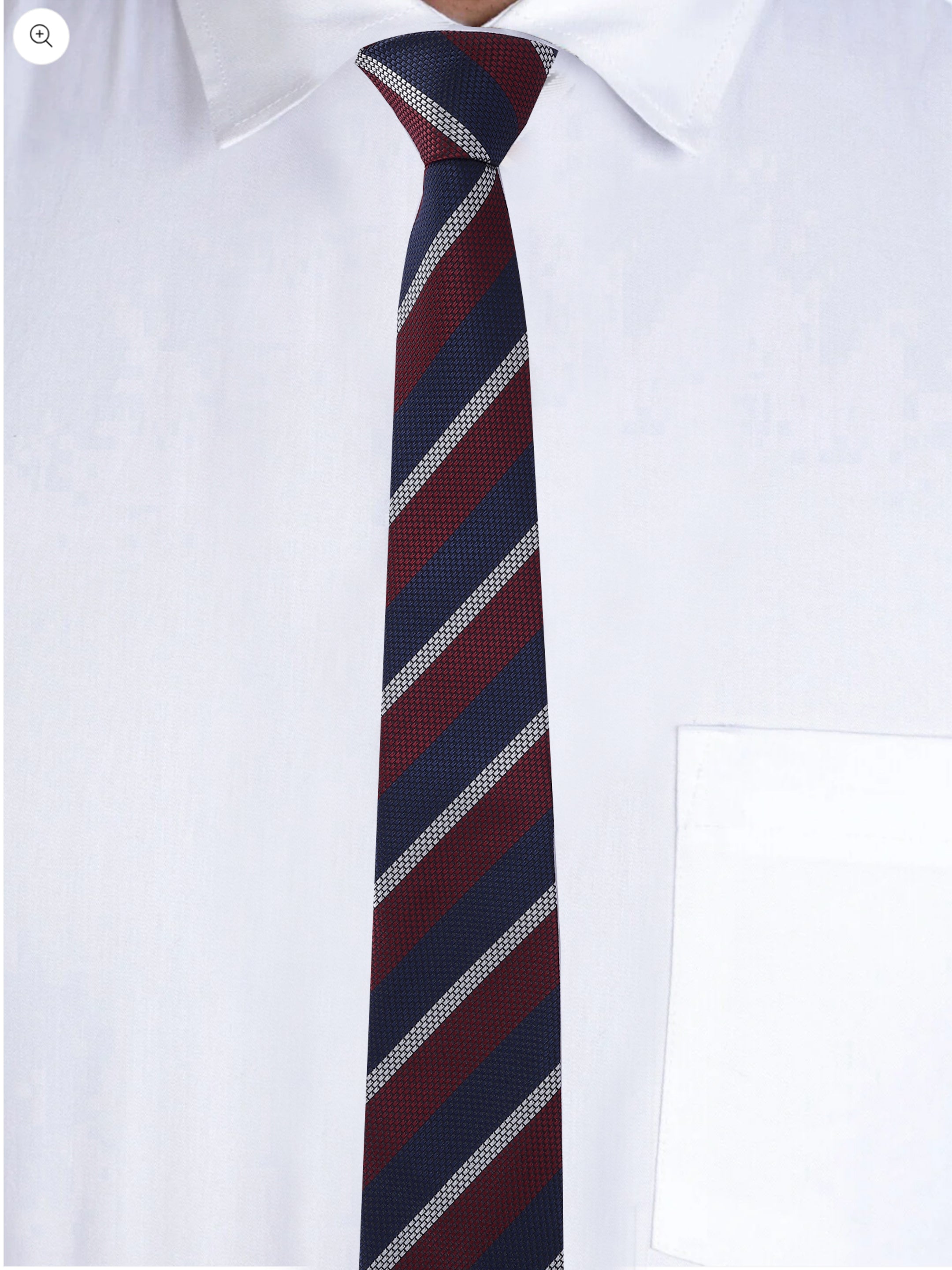 Alvaro Castagnino Men Striped Classic Formal Skinny Tie