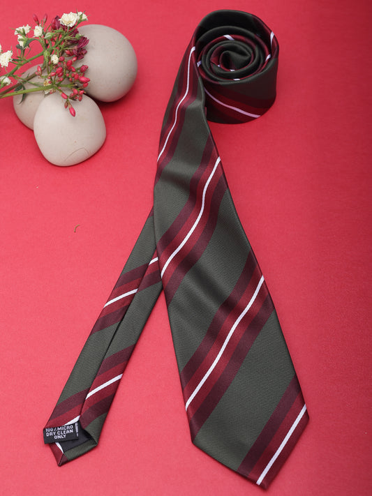 Alvaro Castagnino Men Striped Classic Formal Skinny Tie