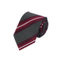 Alvaro Castagnino Men Striped Classic Formal Skinny Tie