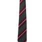 Alvaro Castagnino Men Striped Classic Formal Skinny Tie
