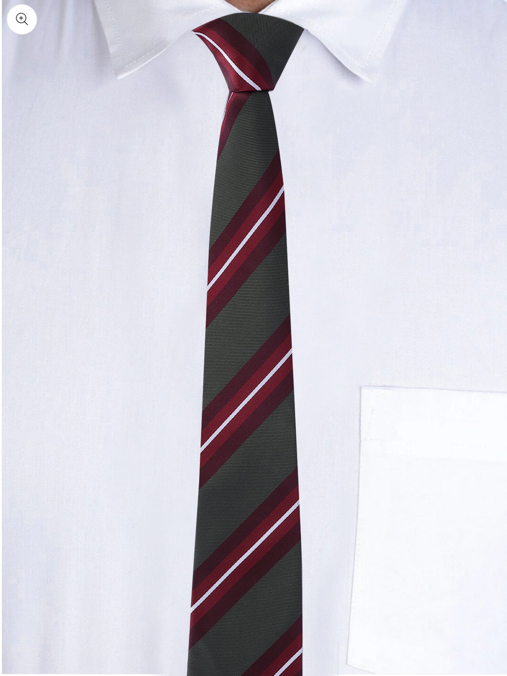 Alvaro Castagnino Men Striped Classic Formal Skinny Tie