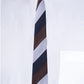 Alvaro Castagnino Men Striped Classic Formal Skinny Tie