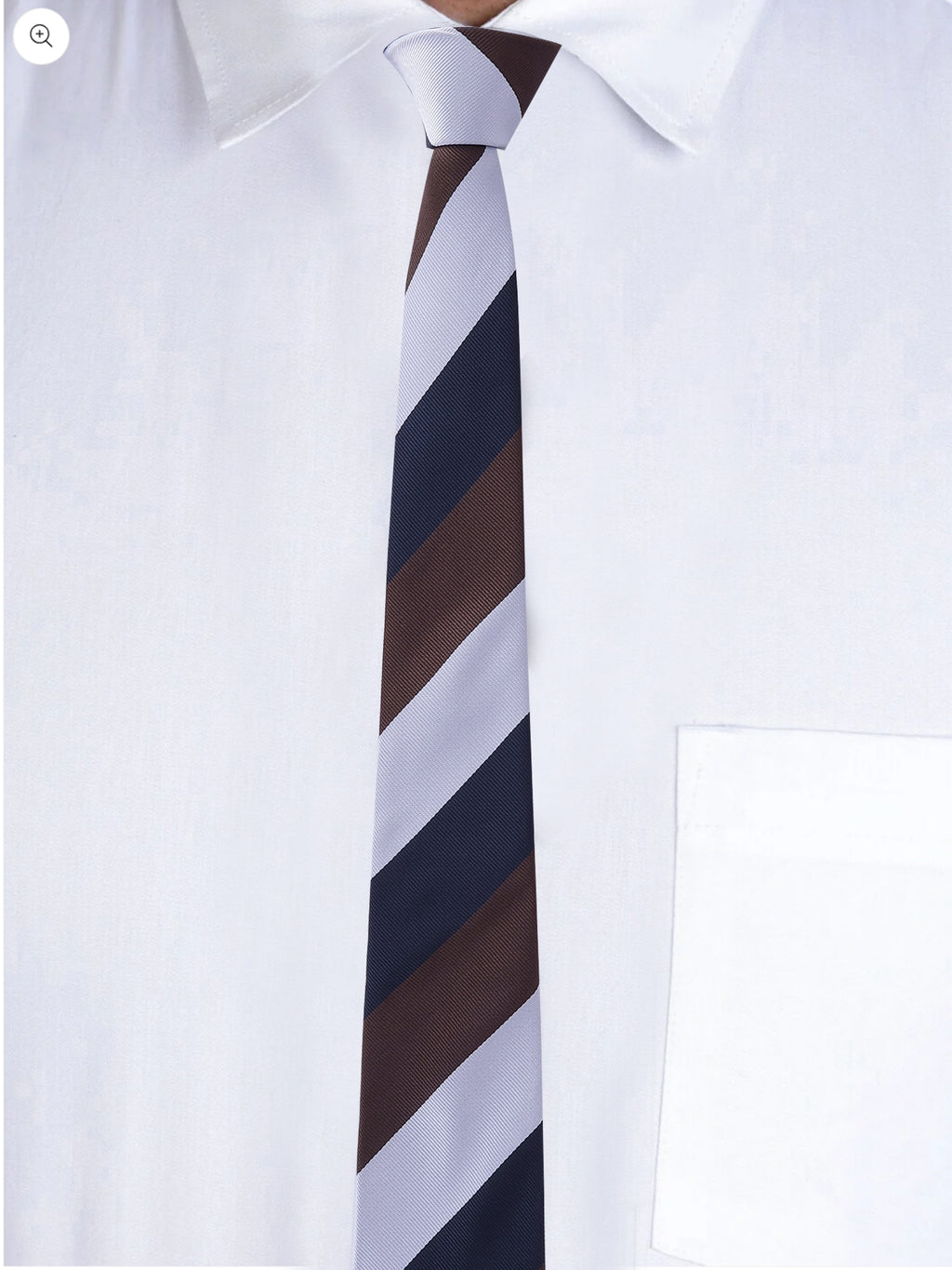 Alvaro Castagnino Men Striped Classic Formal Skinny Tie