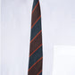 Alvaro Castagnino Men Striped Classic Formal Skinny Tie