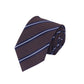 Alvaro Castagnino Men Striped Classic Formal Skinny Tie