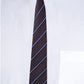 Alvaro Castagnino Men Striped Classic Formal Skinny Tie
