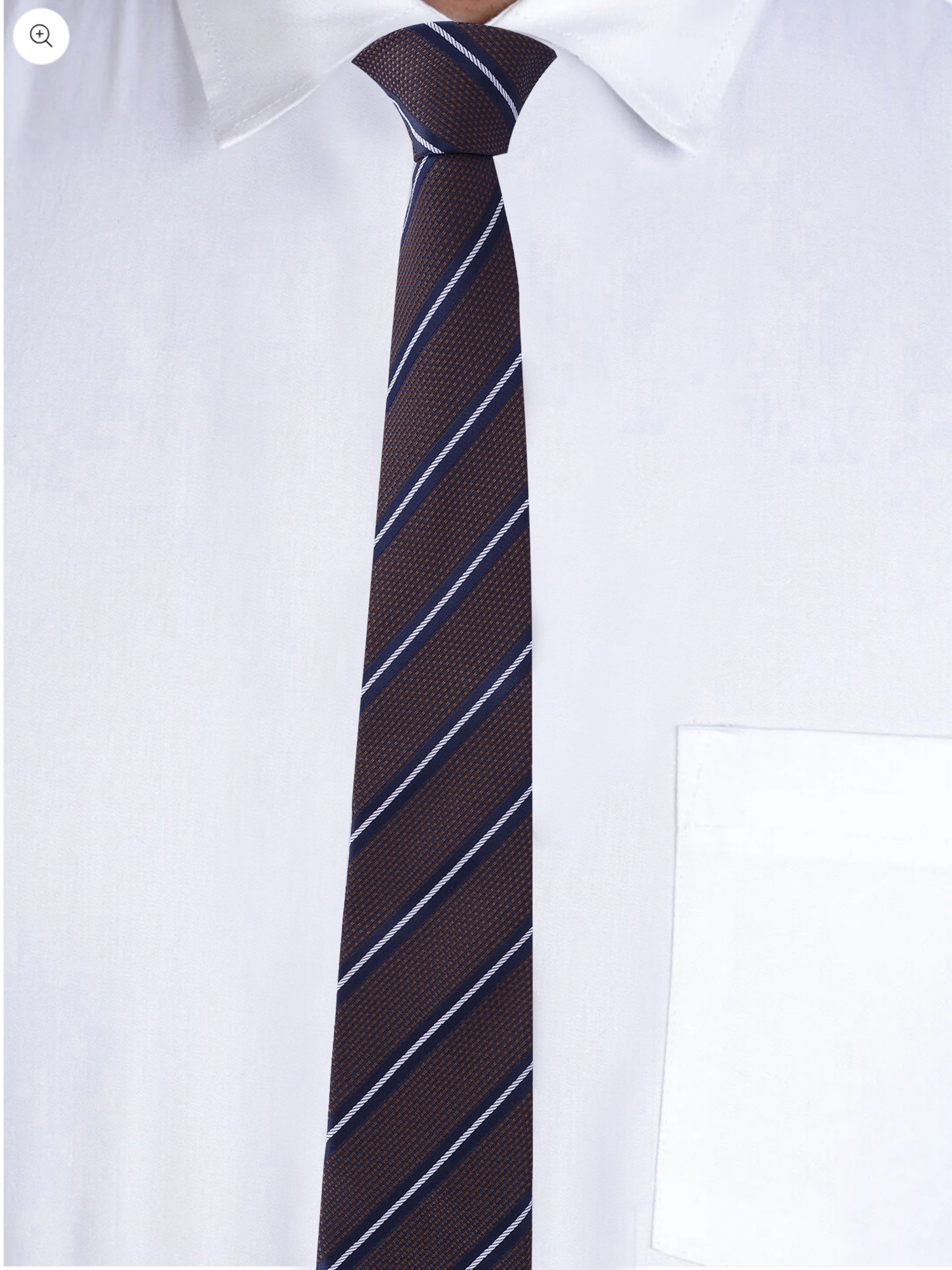 Alvaro Castagnino Men Striped Classic Formal Skinny Tie