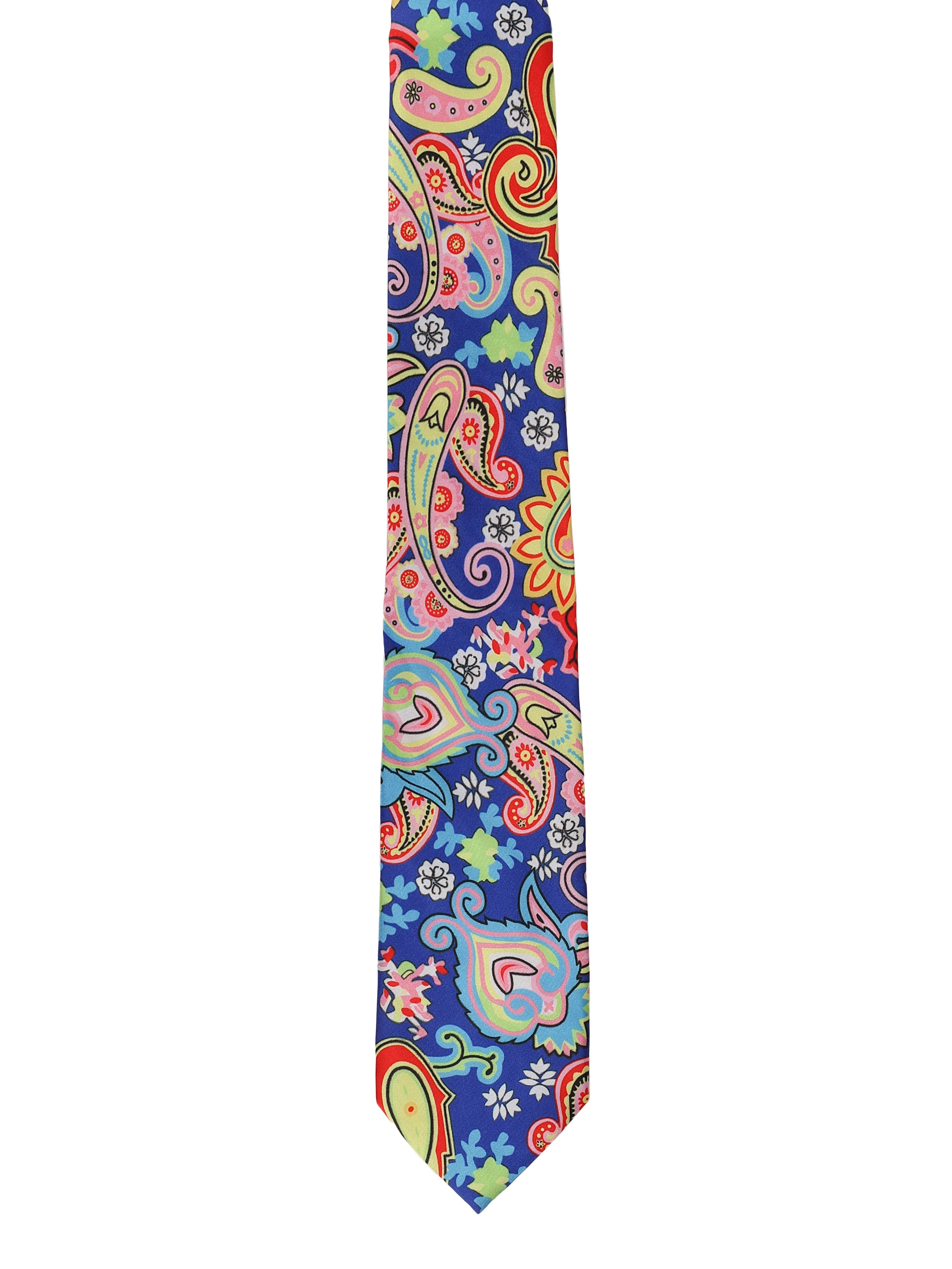 Blue Multicolour Paisley Print Premium Tie