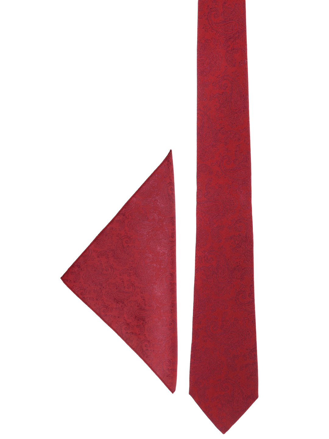 Ornate Paisley Textured Necktie Accessory Gift Set