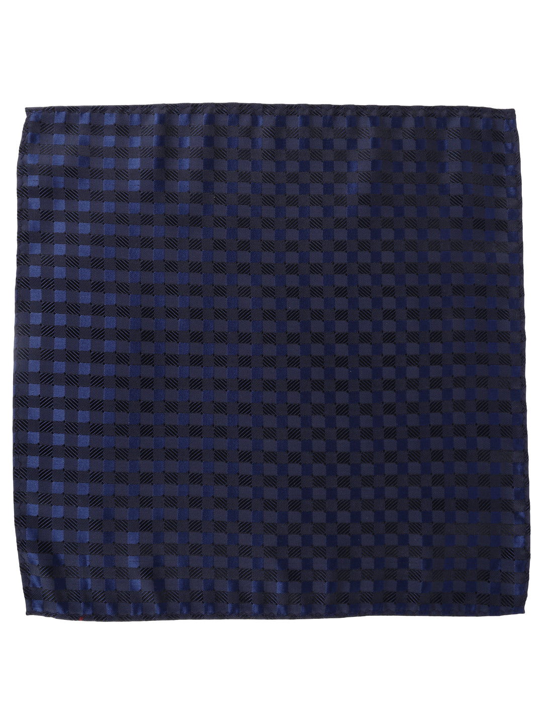 Alvaro Castagnino Men Blue Colour Silk Accessory Gift Set