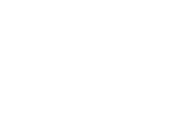 Alvaro castagnino