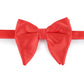 Alvaro Castagnino Men's Red Colored Butterfly Shaped Bow Tie