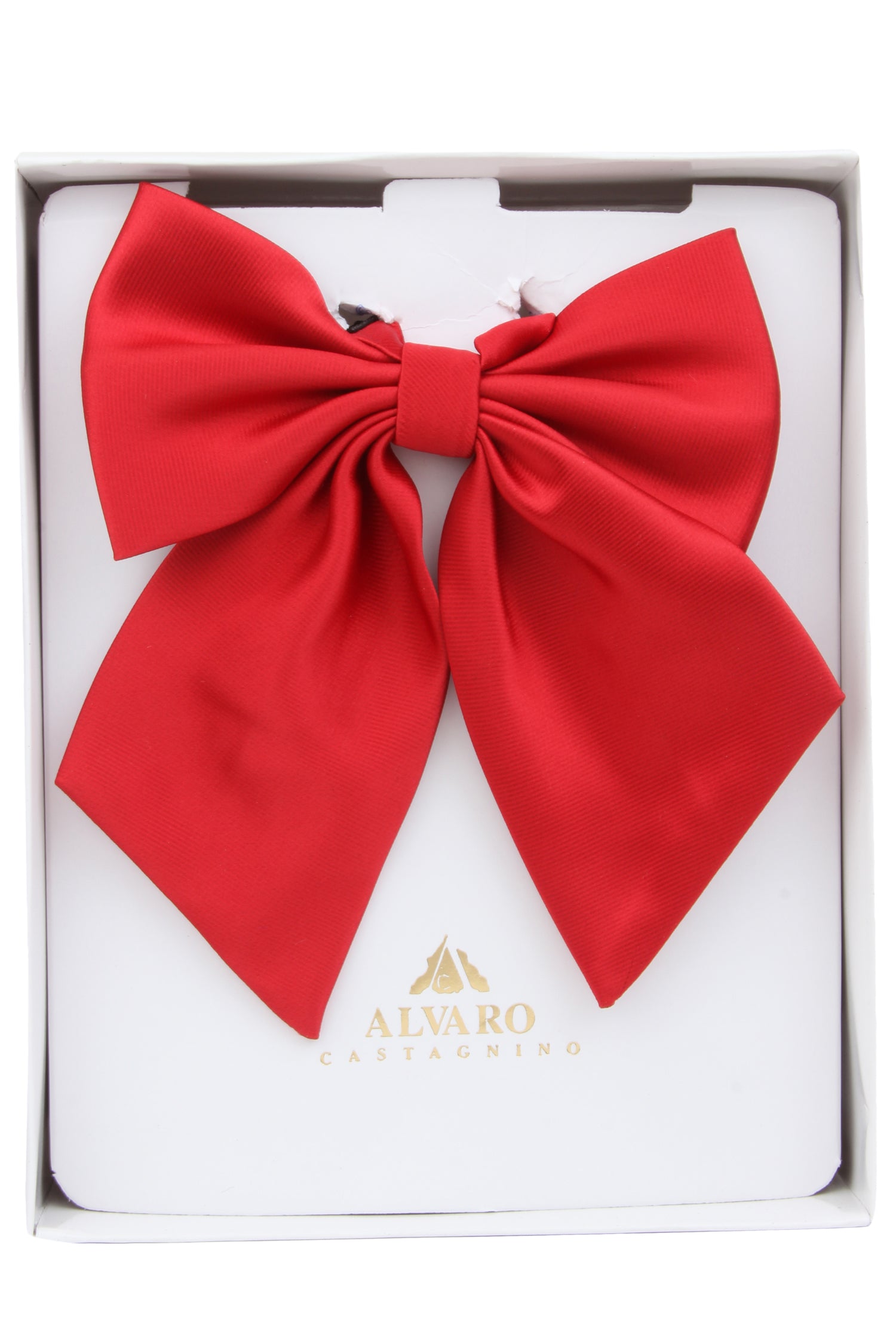 Alvaro Castagnino Men's Maroon Colored Floppy Solid Bow Tie