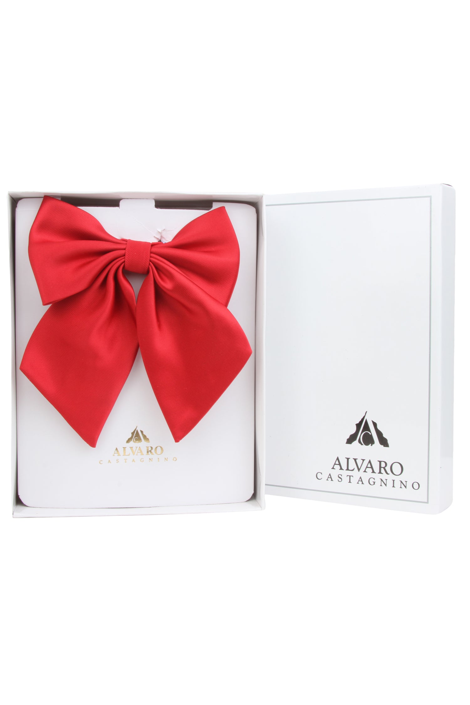 Alvaro Castagnino Men's Maroon Colored Floppy Solid Bow Tie