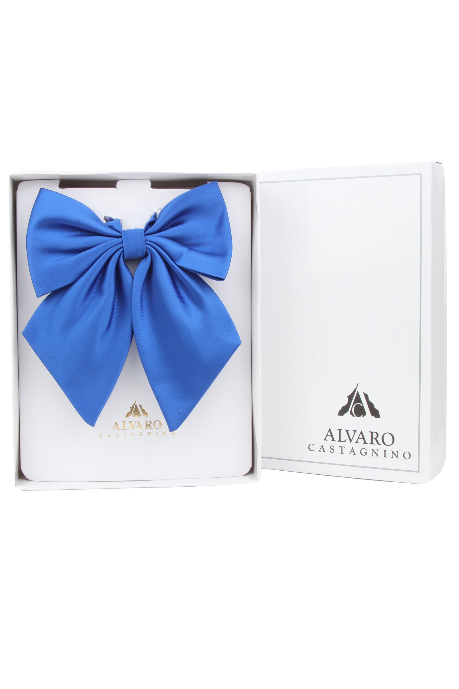 Alvaro Castagnino Men's Blue Colored Floppy Solid Bow Tie