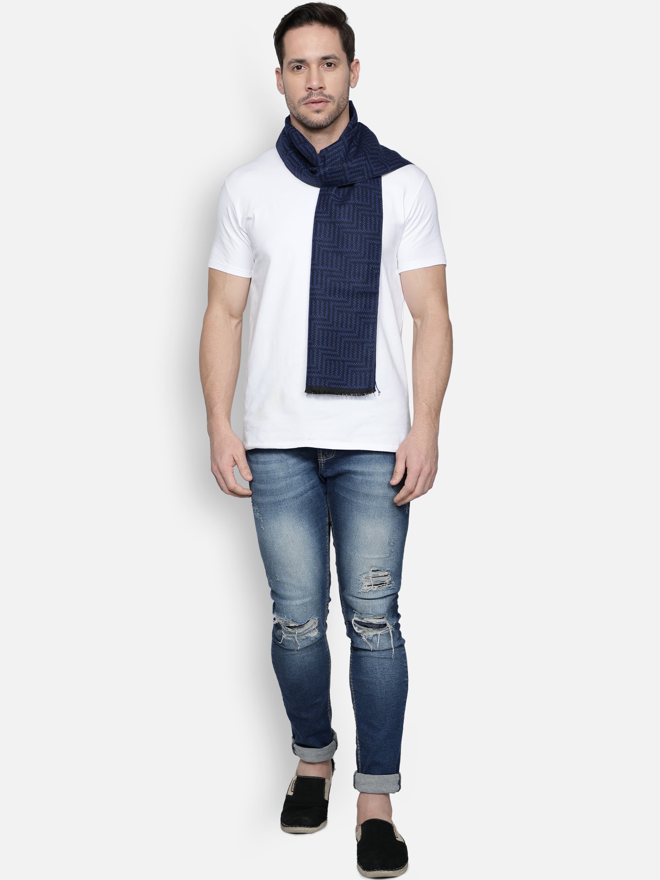 Alvaro Castagnino Men's Blue Colored Viscose Muffler