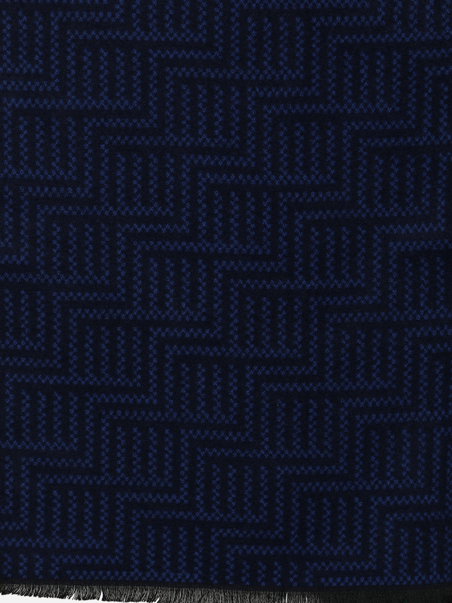 Alvaro Castagnino Men's Blue Colored Viscose Muffler