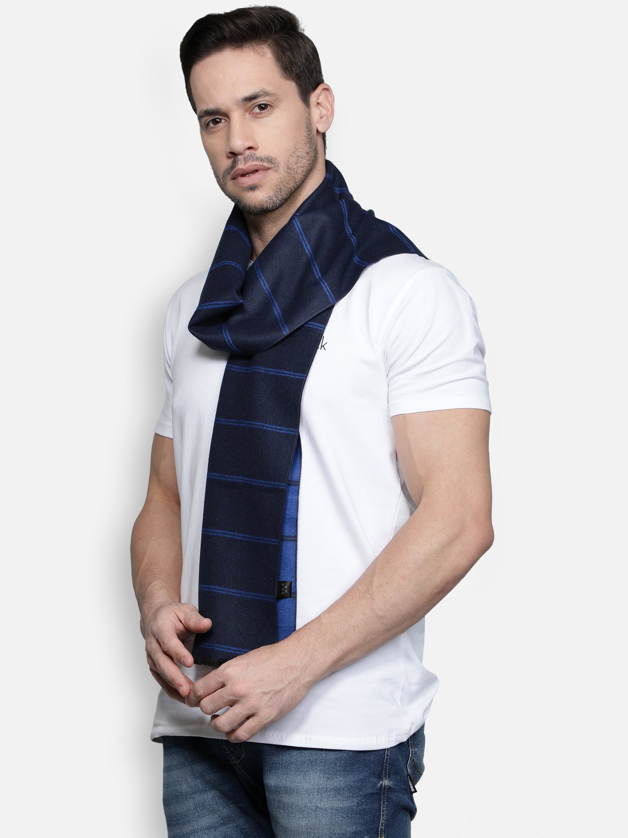 Alvaro Castagnino Men's Blue Colored Check Viscose Muffler