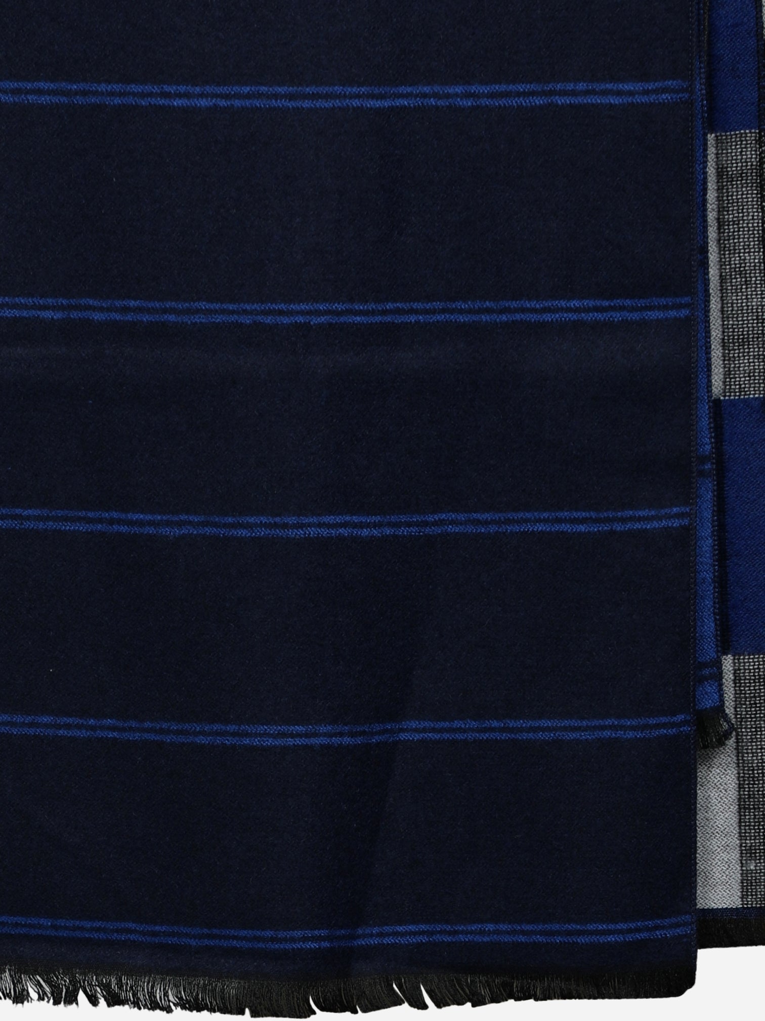 Alvaro Castagnino Men's Blue Colored Check Viscose Muffler