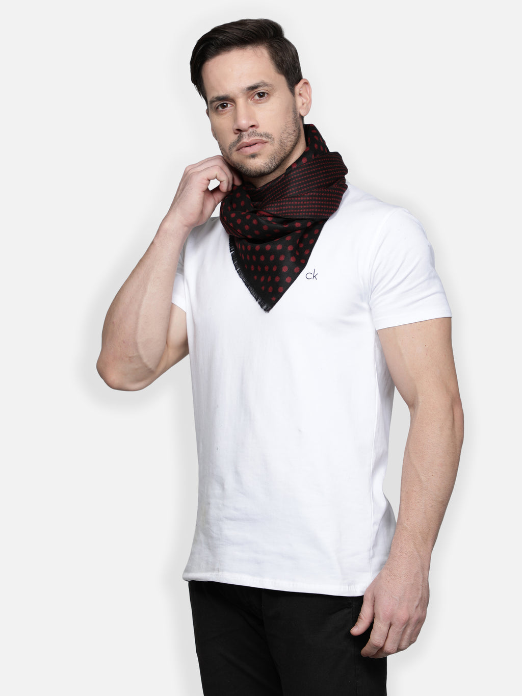 Alvaro Castagnino Men's Maroon::Black Colored Muffler