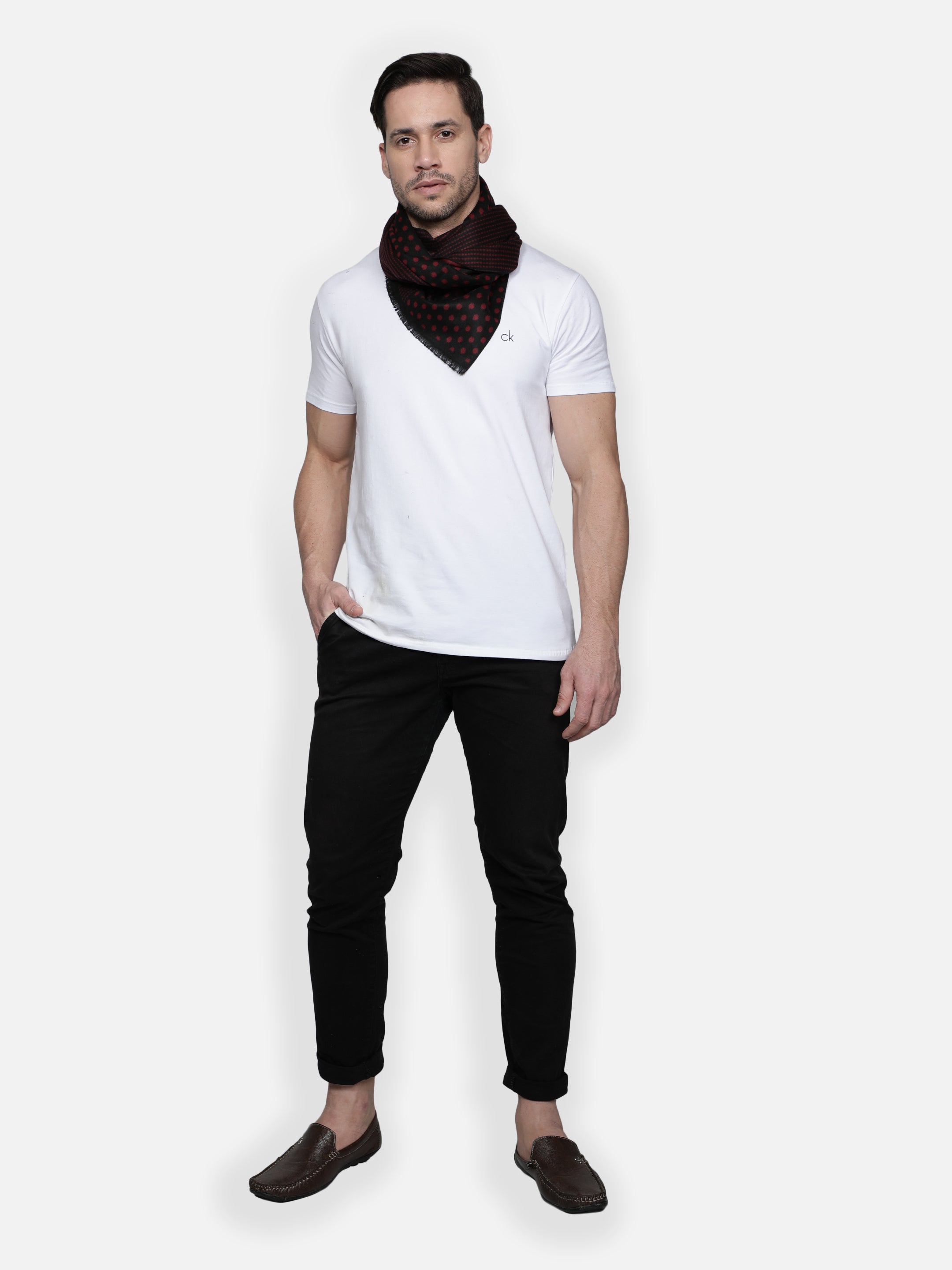 Alvaro Castagnino Men's Maroon::Black Colored Muffler