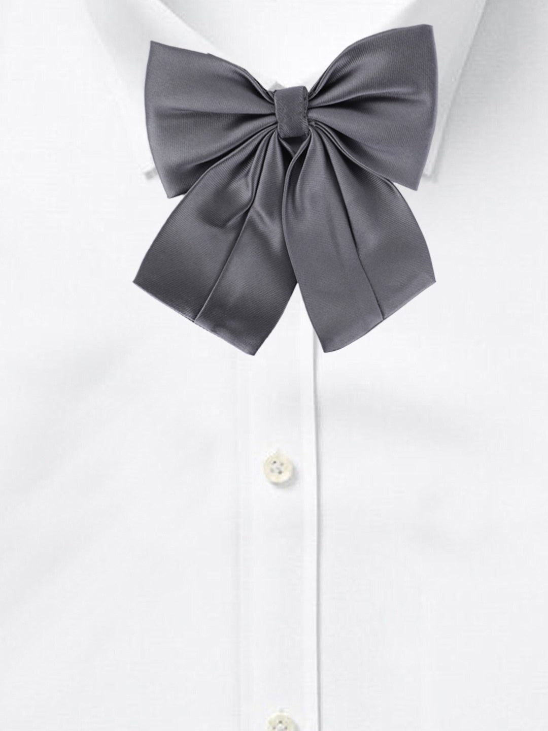 Alvaro Castagnino Men's Grey Colored Floppy Solid Bow Tie