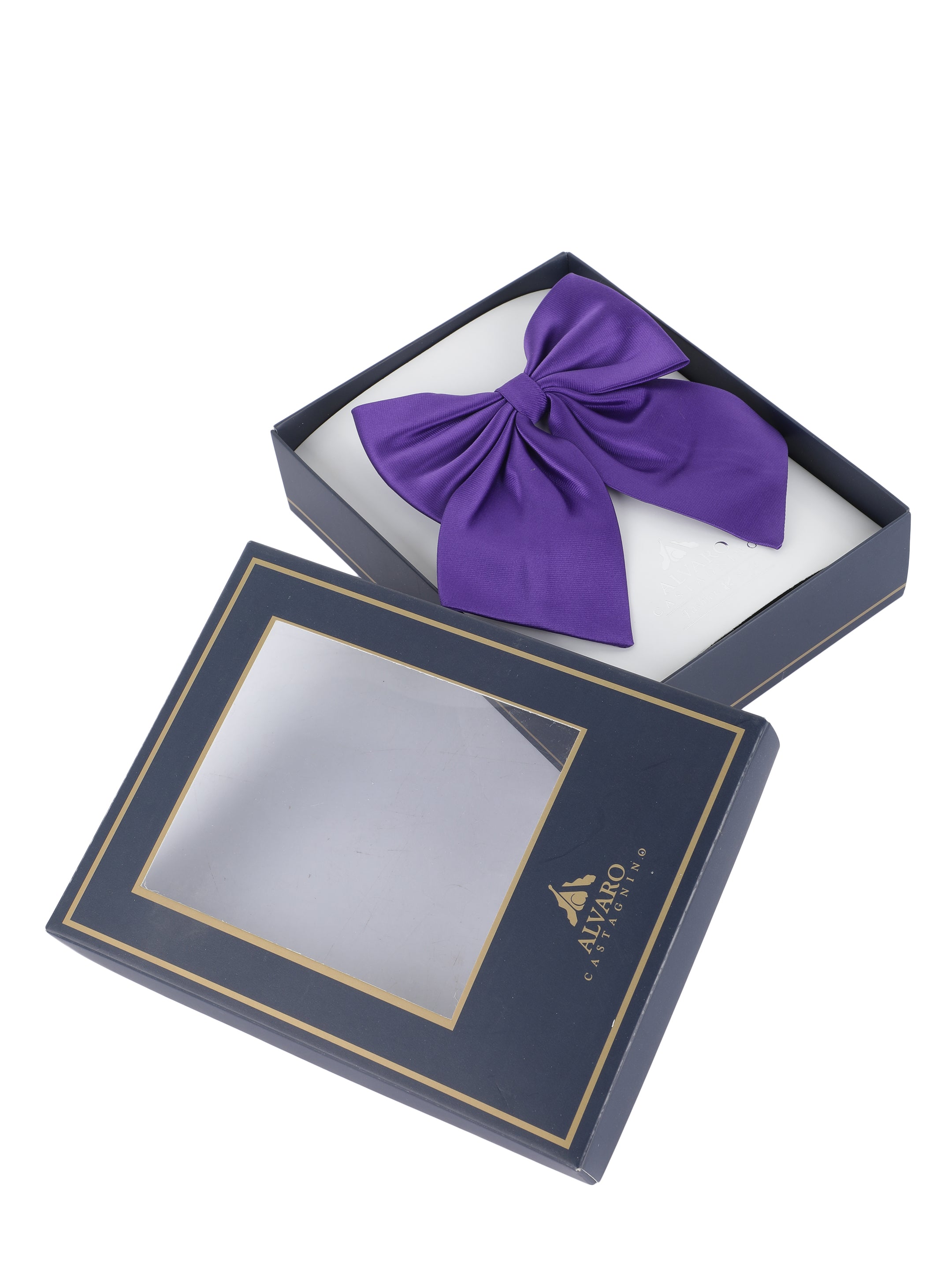 Alvaro Castagnino Men's Blue Colored Floppy Solid Bow Tie