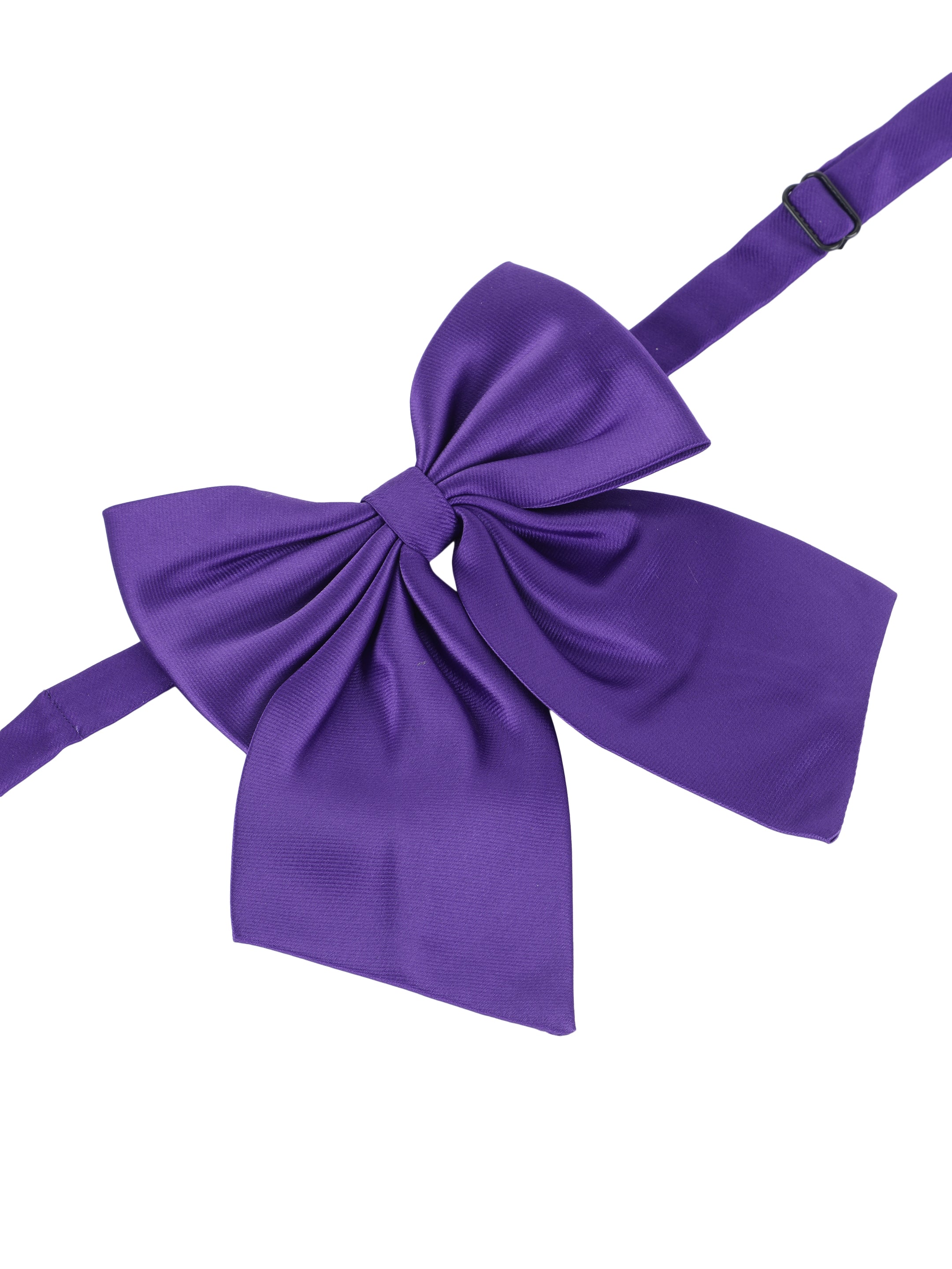 Alvaro Castagnino Men's Blue Colored Floppy Solid Bow Tie