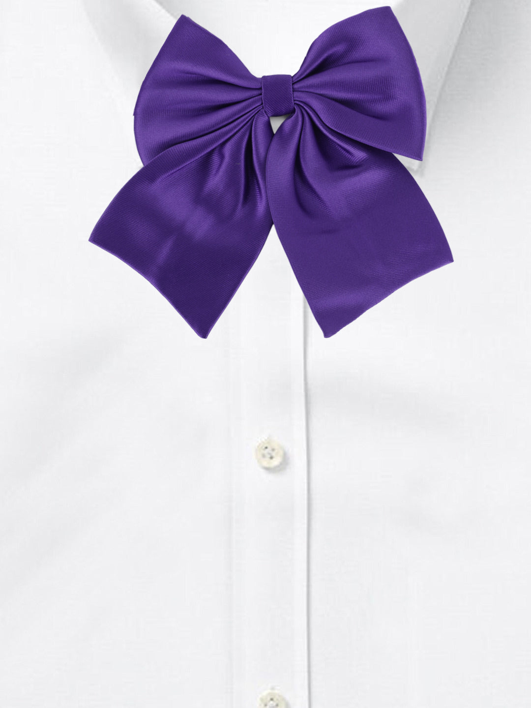 Alvaro Castagnino Men's Blue Colored Floppy Solid Bow Tie