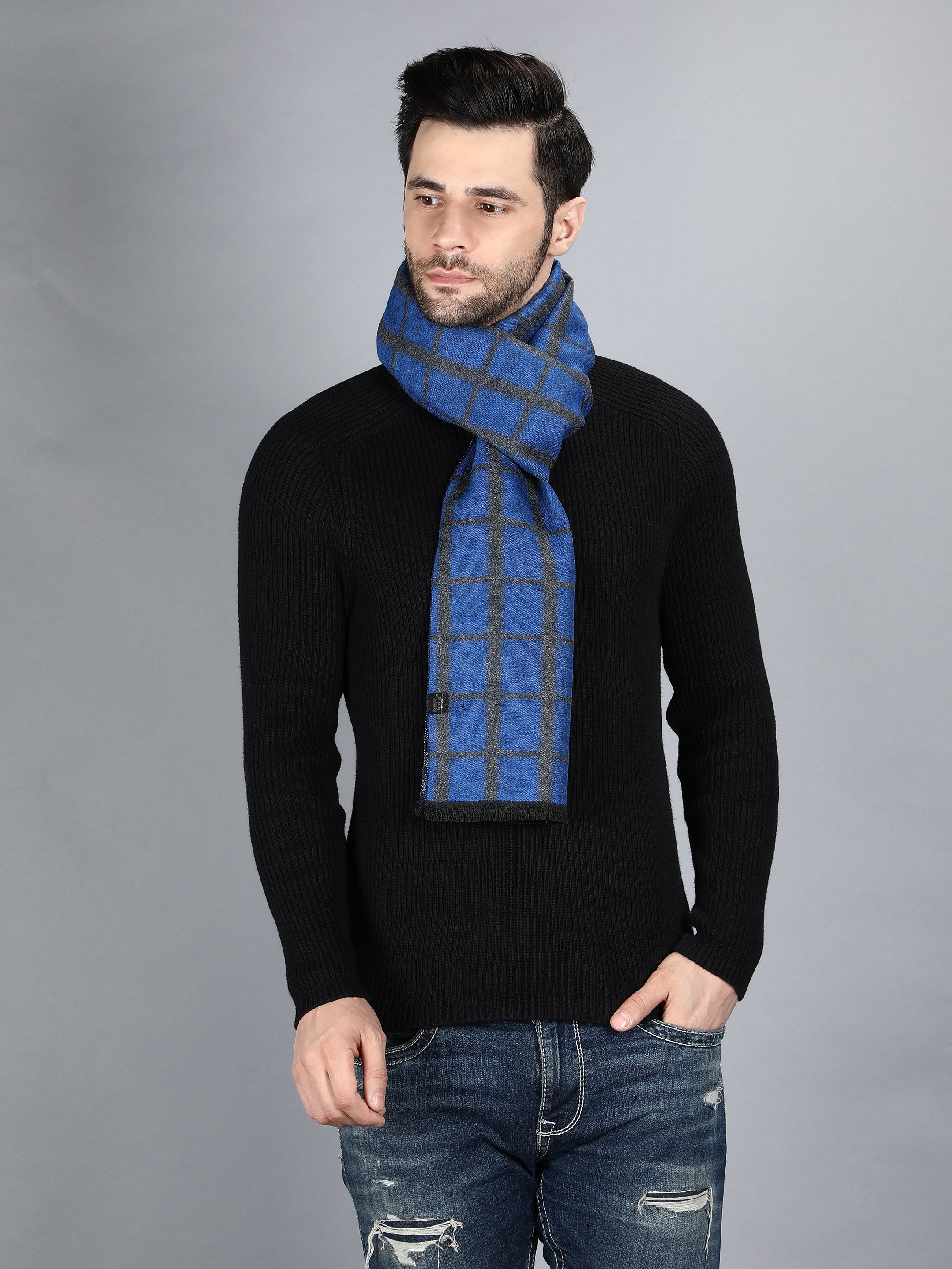 Alvaro Castagnino Men's Blue::Silver Colored  Viscose Muffler