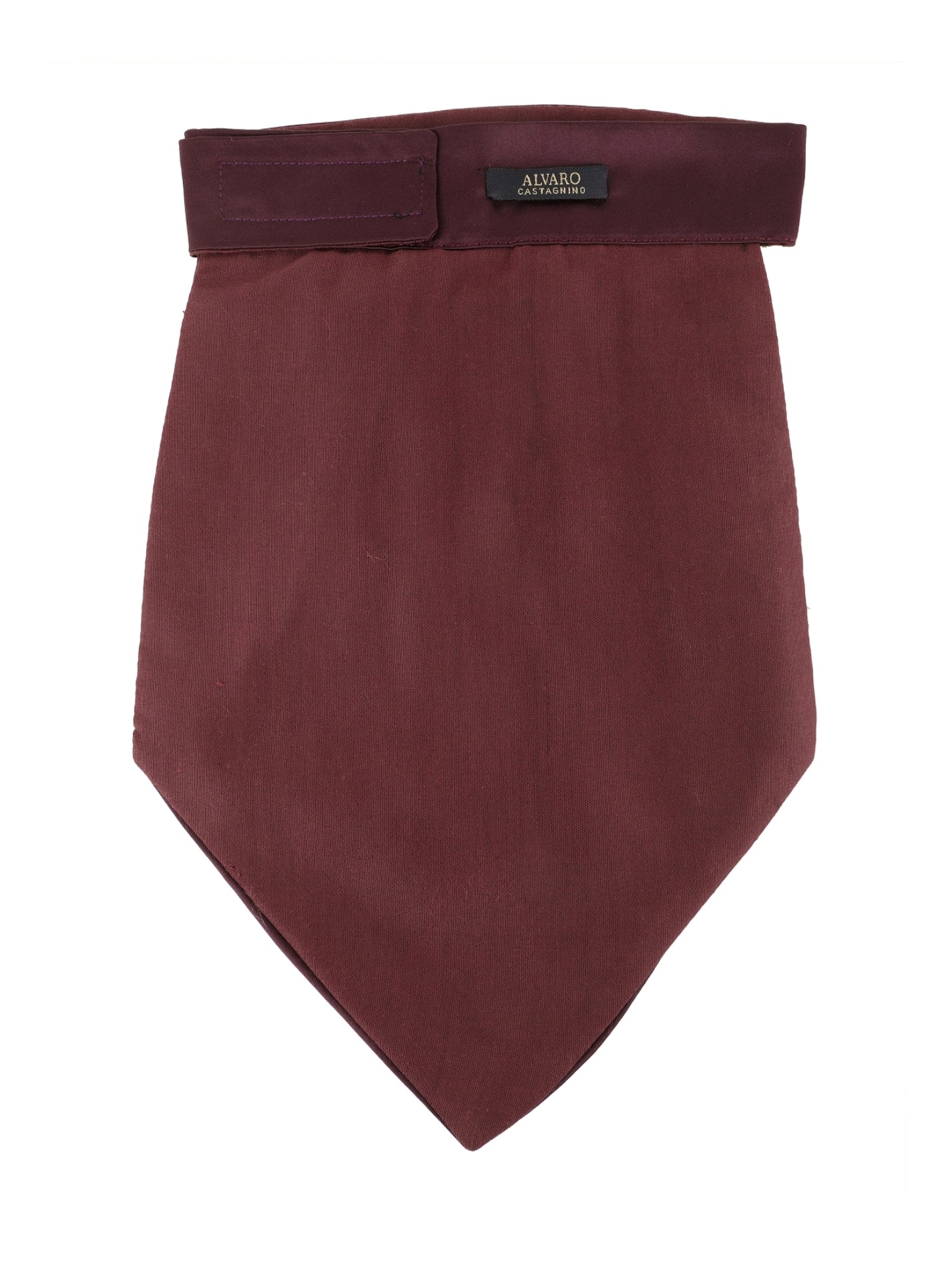 Alvaro Castagnino Men's Purple Color Microfiber Cravat