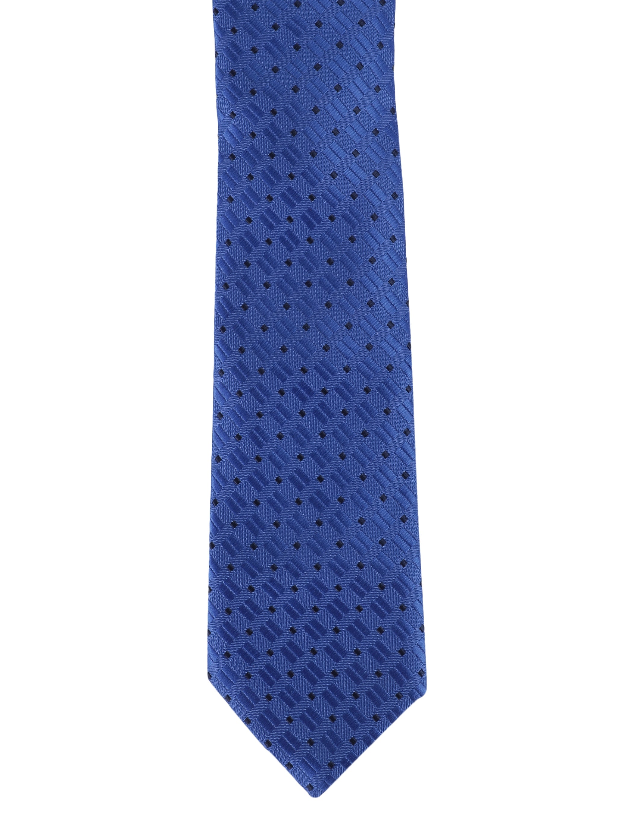 Alvaro Castagnino Microfiber Blue Coloured Printed Necktie for Men