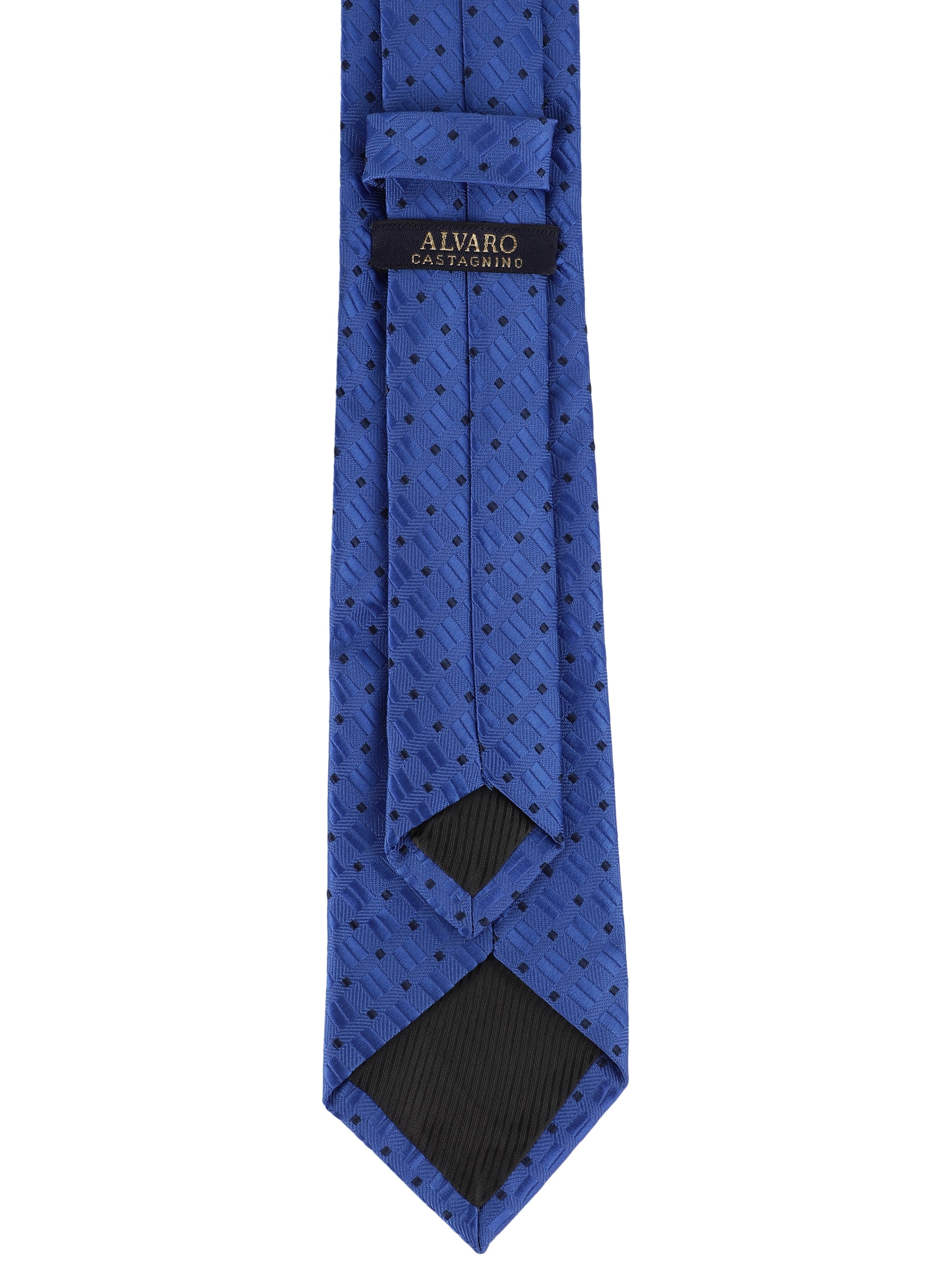 Alvaro Castagnino Microfiber Blue Coloured Printed Necktie for Men