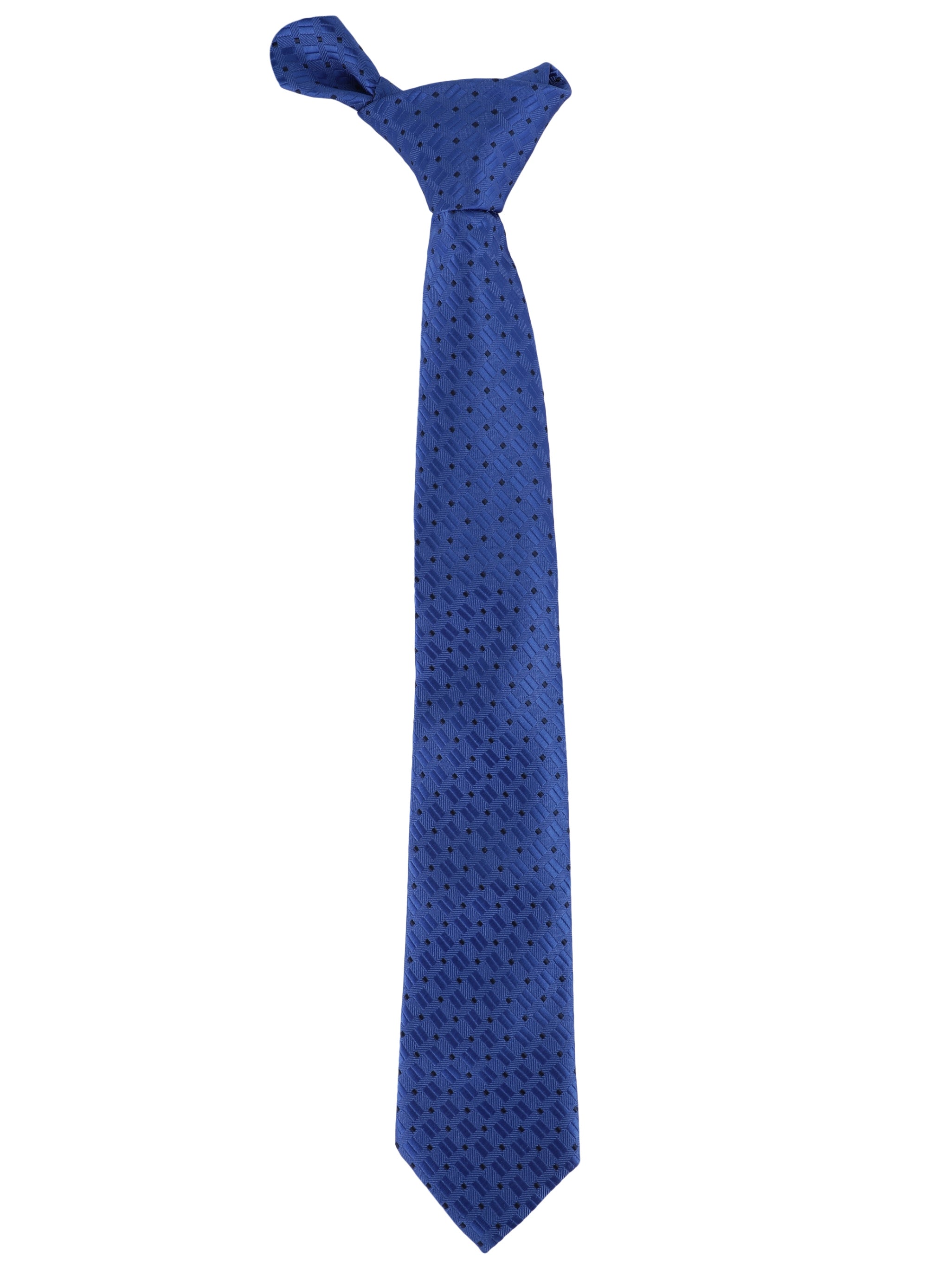 Alvaro Castagnino Microfiber Blue Coloured Printed Necktie for Men