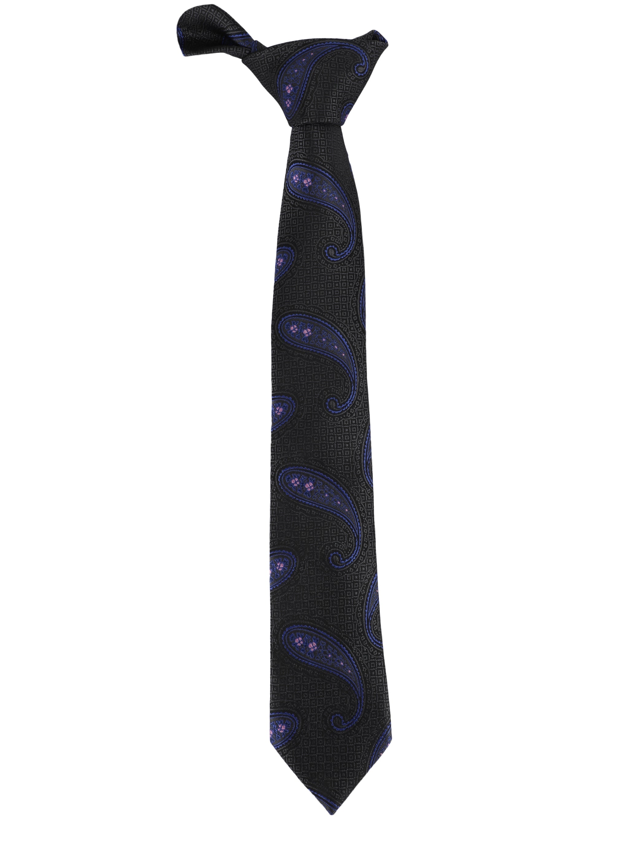 Alvaro Castagnino Microfiber Black Coloured Printed Necktie with same fabric box for Men