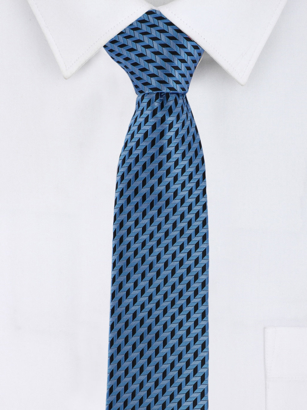 Alvaro Castagnino Microfiber Blue Colored Printed Necktie with same fabric box for Men