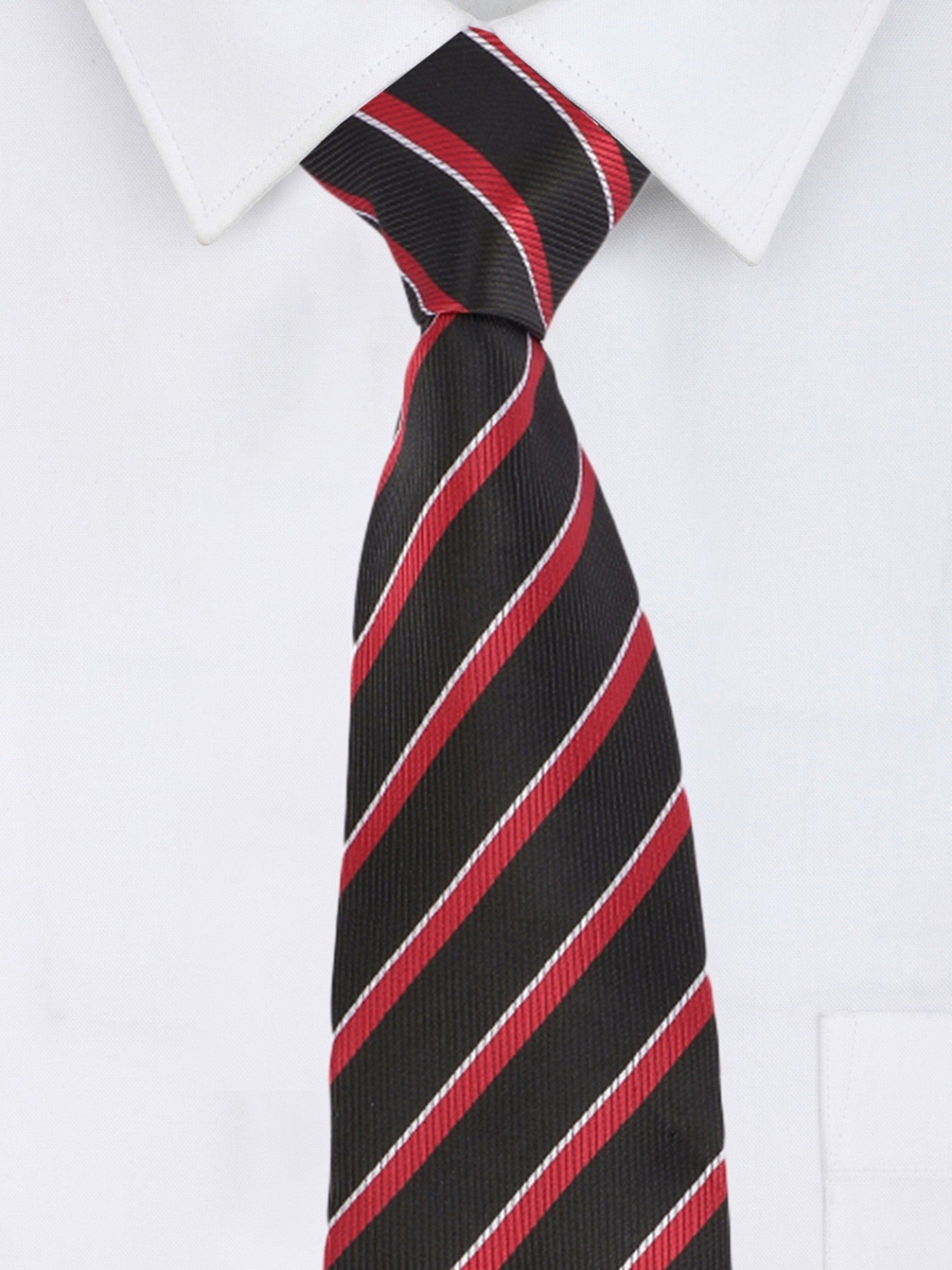 Alvaro Castagnino Microfiber Black::Multi Colored Stripes Necktie for Men