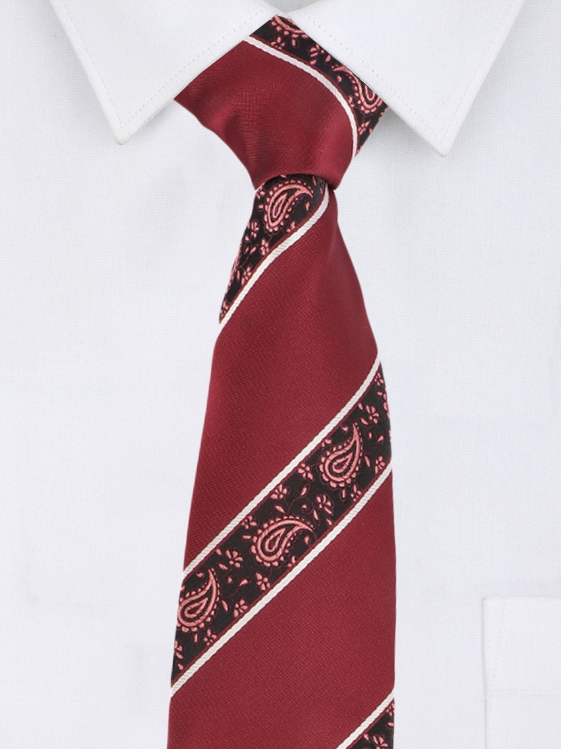 Alvaro Castagnino Microfiber Maroon::Multi Colored Printed with Stripes Necktie for Men