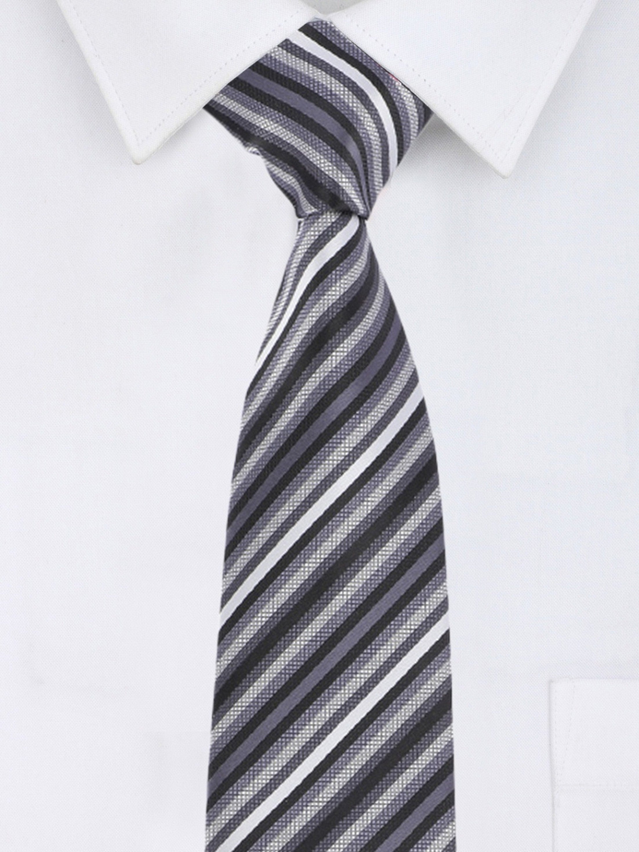 Alvaro Castagnino Microfiber Multi Colored Stripes Necktie for Men