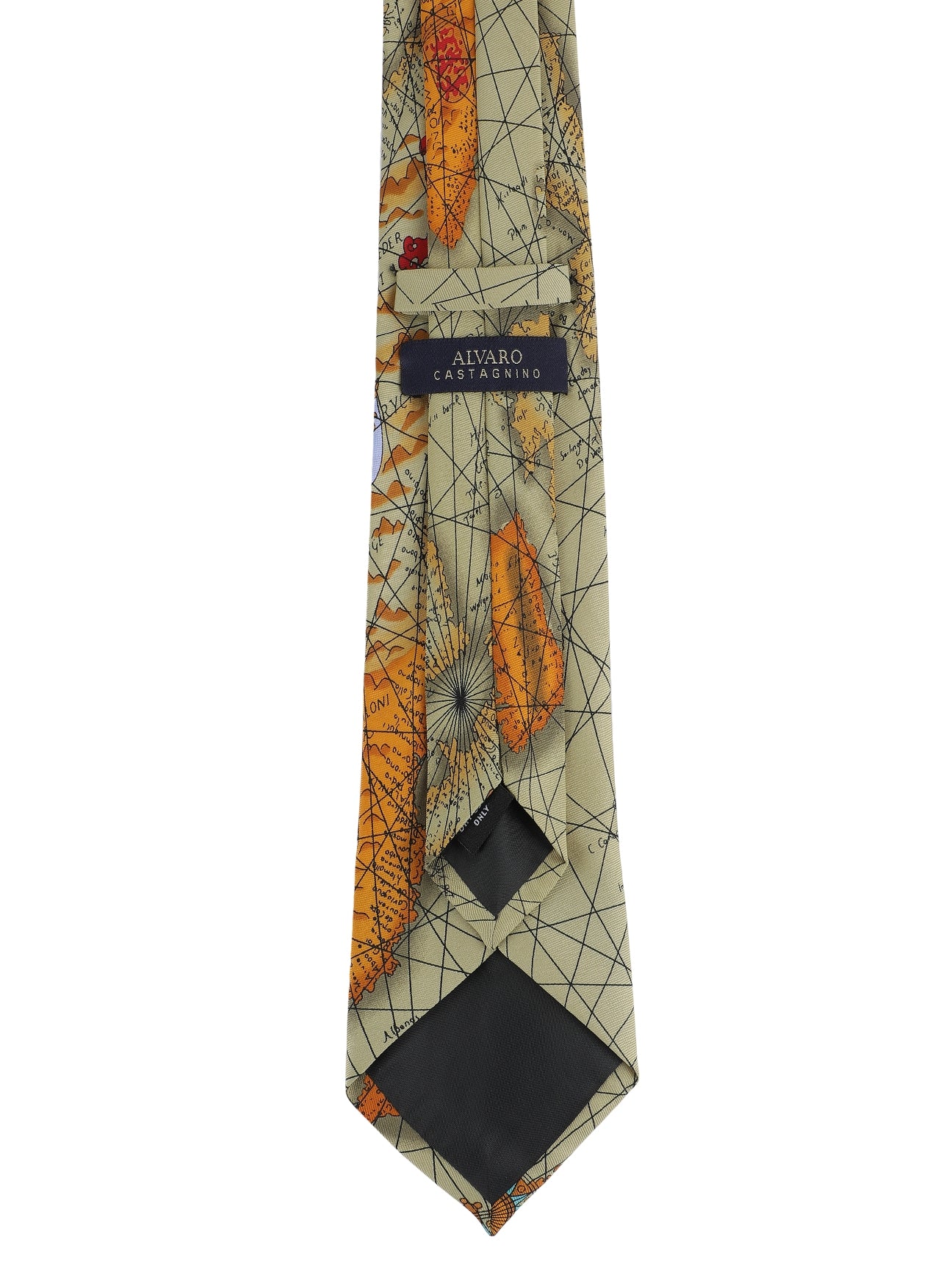 Alvaro Castagnino Microfiber Multi Colored Printed Necktie for Men
