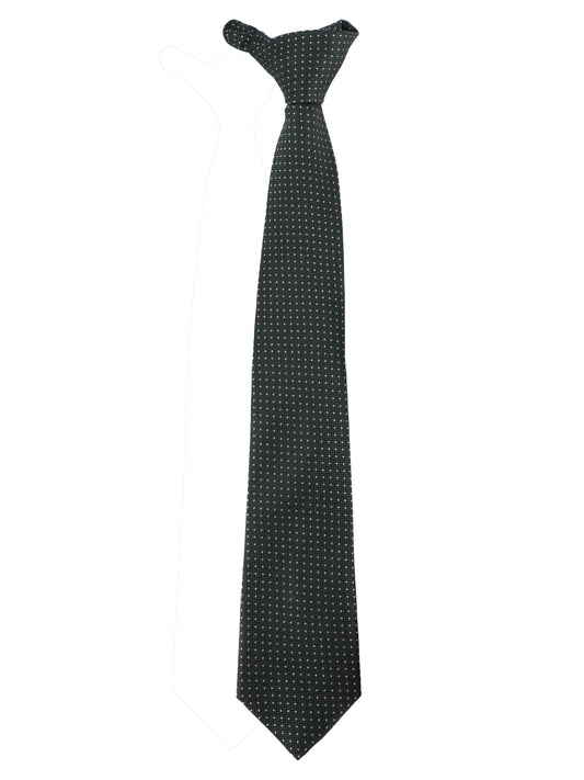 Alvaro Castagnino Microfiber Green Colored Necktie for Men