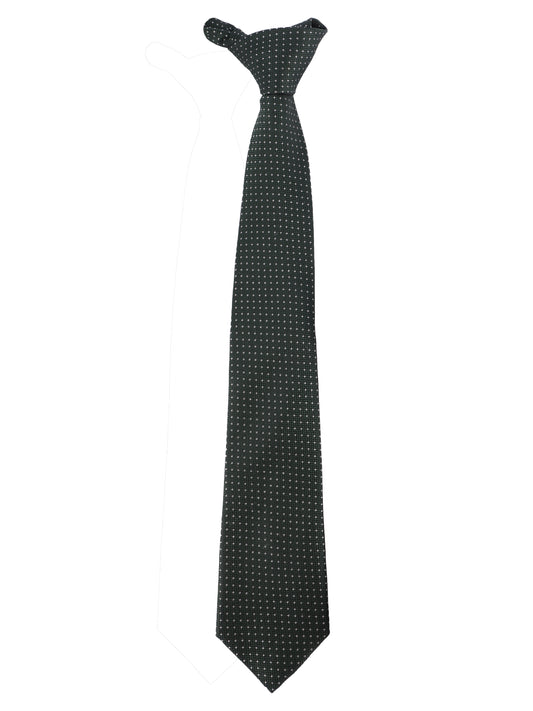 Alvaro Castagnino Microfiber GREEN  Colored Necktie for Men
