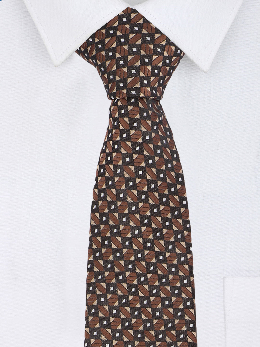 Alvaro Castagnino Microfiber BROWN  Colored Necktie for Men