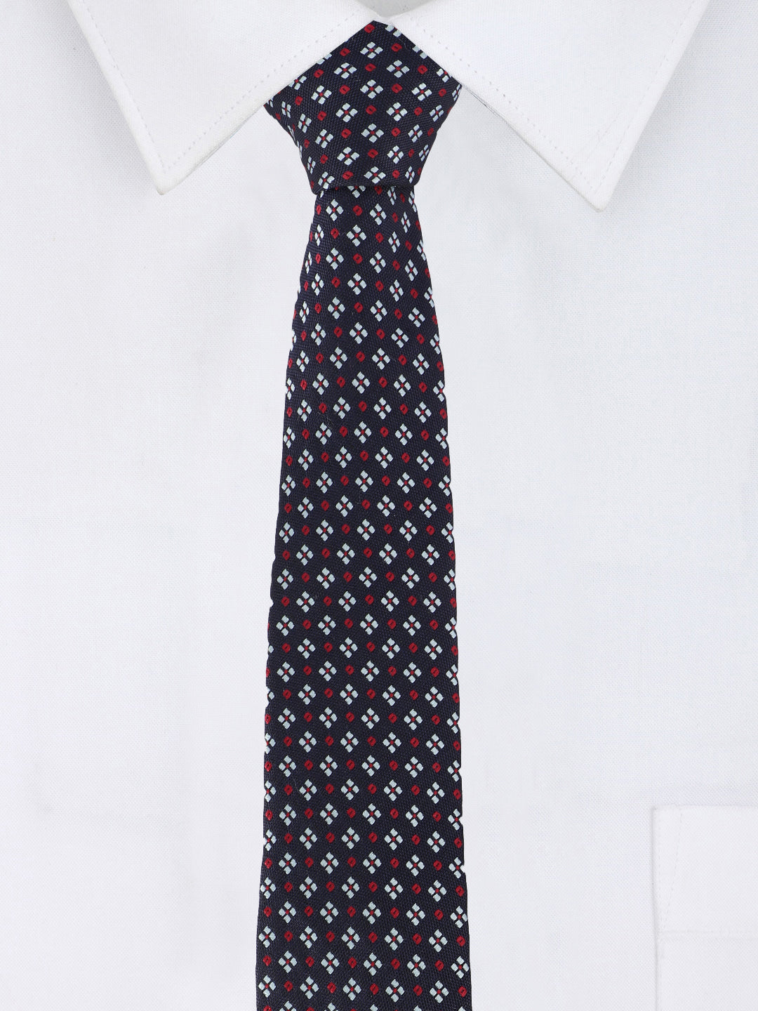 Alvaro Castagnino Microfiber BLUE AND MULTI Colored Necktie for Men